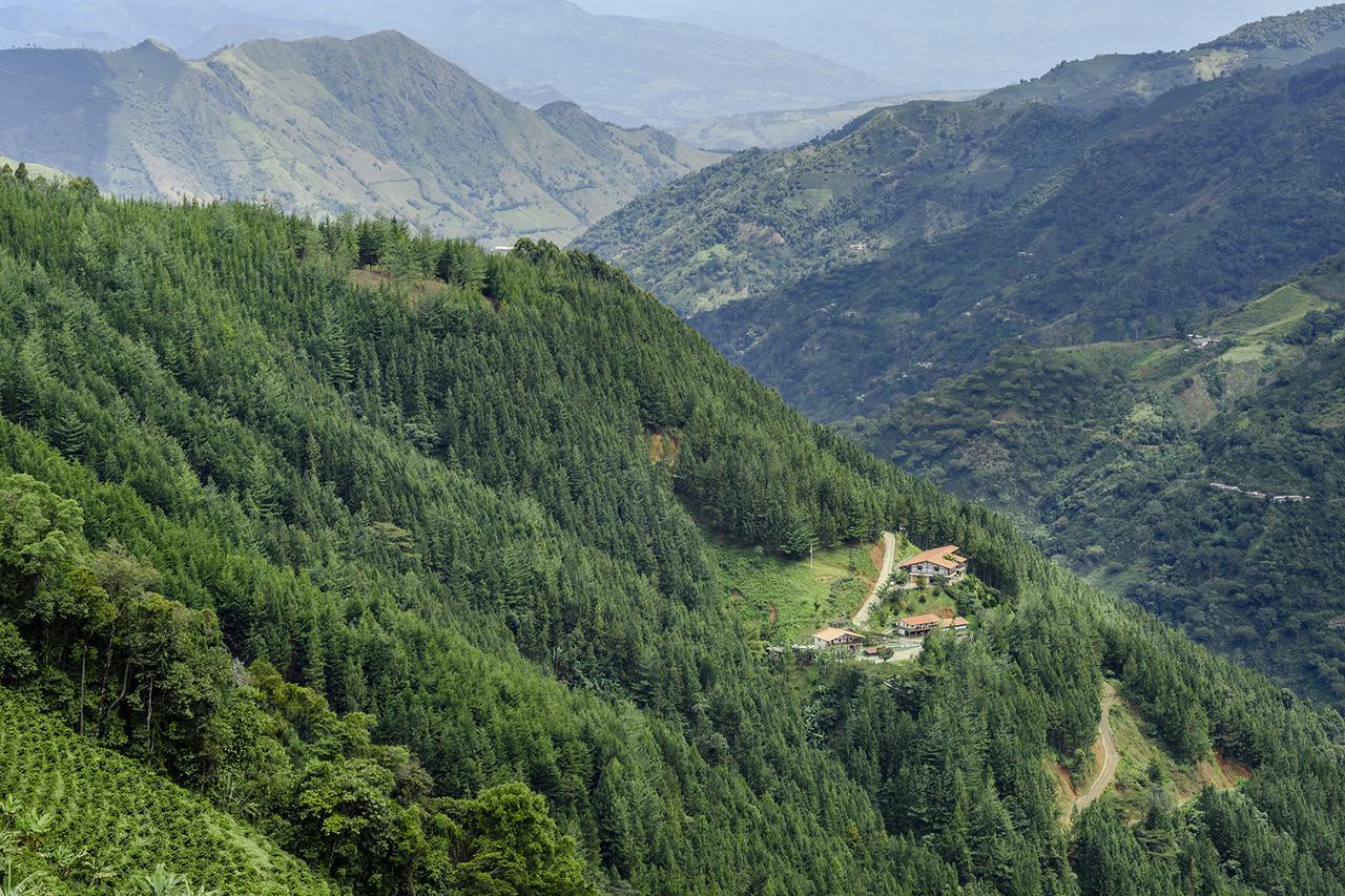 Finca Boutique El Diamante Salgar  エクステリア 写真