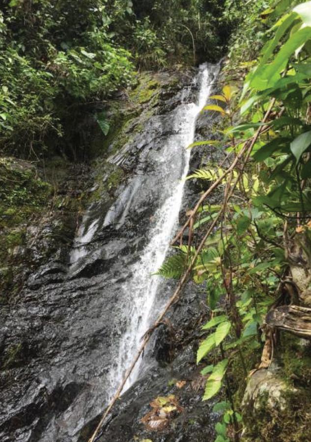 Finca Boutique El Diamante Salgar  エクステリア 写真
