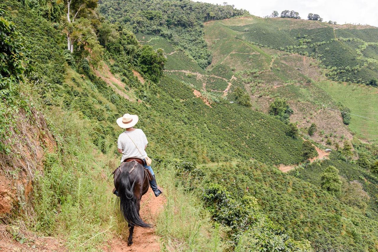 Finca Boutique El Diamante Salgar  エクステリア 写真